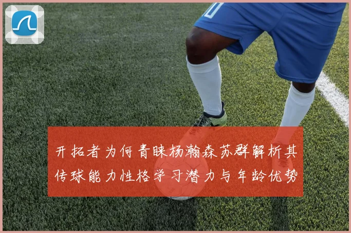 开拓者为何青睐杨瀚森苏群解析其传球能力性格学习潜力与年龄优势