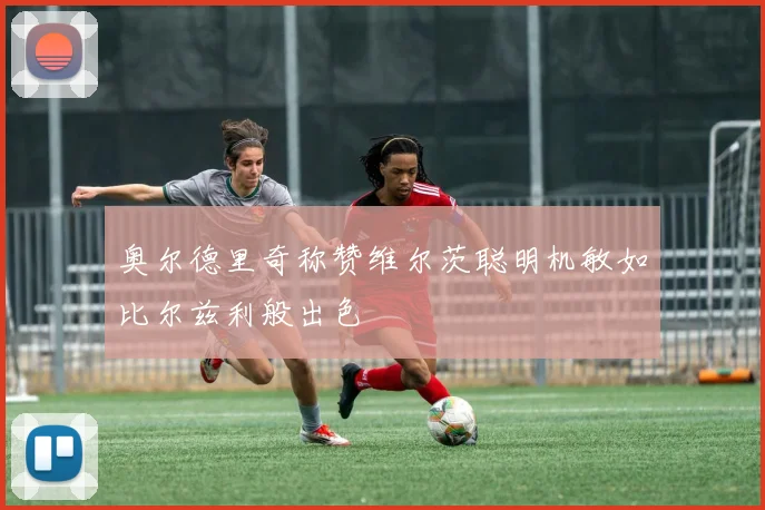 奥尔德里奇称赞维尔茨聪明机敏如比尔兹利般出色