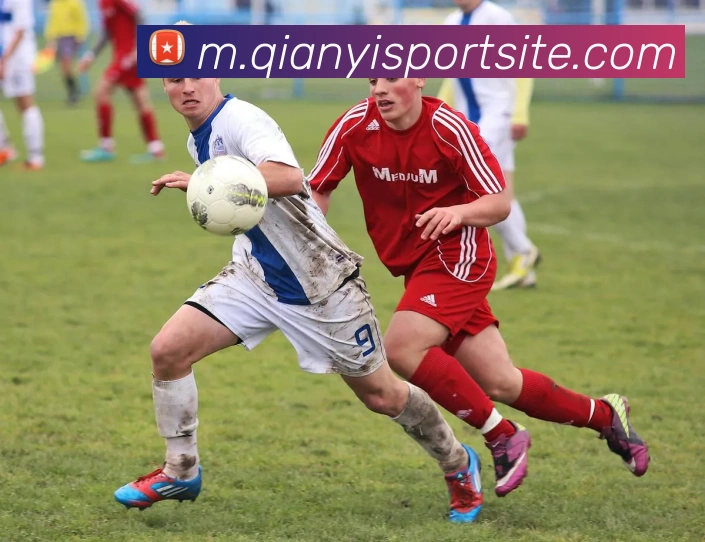 千亿体育服务体系